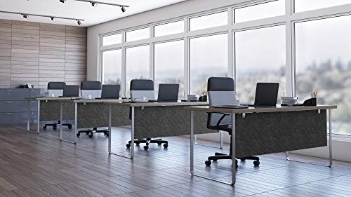 OBEX Modesty Desk PET Privacy Screen Acoustic Sound Absorbing Panel Ideal for Reception, Student Table or Office Cubicles Workstations, 24" x 48, Shadow