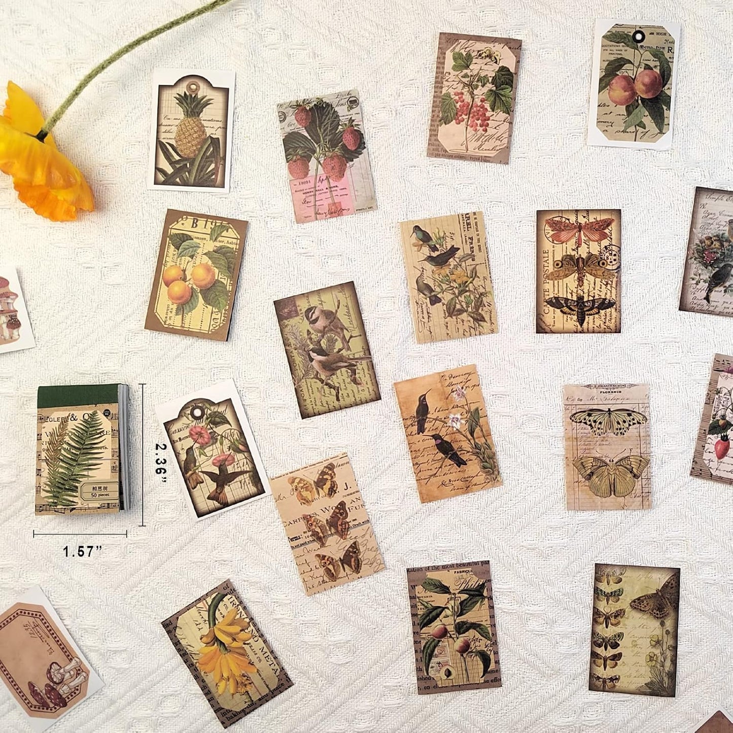300 Pcs Scrapbook Washi Stickers,Vintage Flower Butterfly Botanical Sticker Book for Junk Journal,Decorative Paper Stickers for Bullet Journal, Album, Collage, Planner, Gift Wrapping