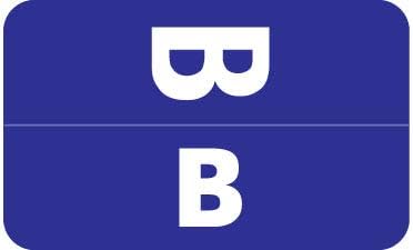 Doctor Stuff - File Folder Labels, Alphabet Letter B, Compatible with Smead Alpha Z Acc/ACCS - SMSM Series Alpha Stickers Dark Blue, 1-5/8" x 1”, 250/Roll