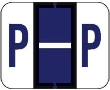 Doctor Stuff - File Folder Labels, Alphabet Letter P Stickers, Compatible with Smead BCCR/BCCS - TPAM Series Alpha Stickers Purple, 1" x 1-1/4", 120 Labels per Package