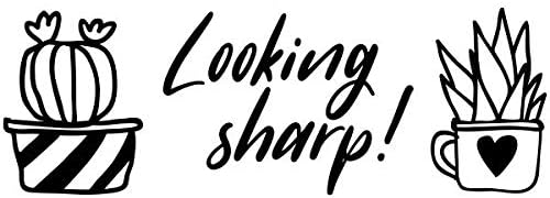 Custom Self-Inking Teacher Stamps | 49 Designs | Fun Phrases | Grading Made Easy | Classroom and Library Book Stamps (Looking Sharp, Large)