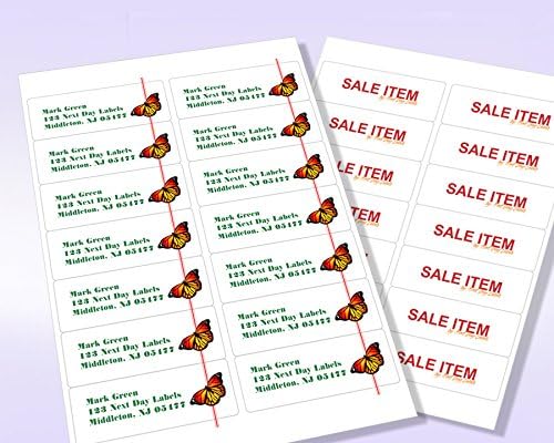 NextDayLabels – 4" x 1-1/3" Rectangular Sticker Labels for Printer - White Laser/Inkjet Printer Labels Return Address Labels Shipping Label Stickers (50 Sheets, 14 Per Sheet, 700 Labels)