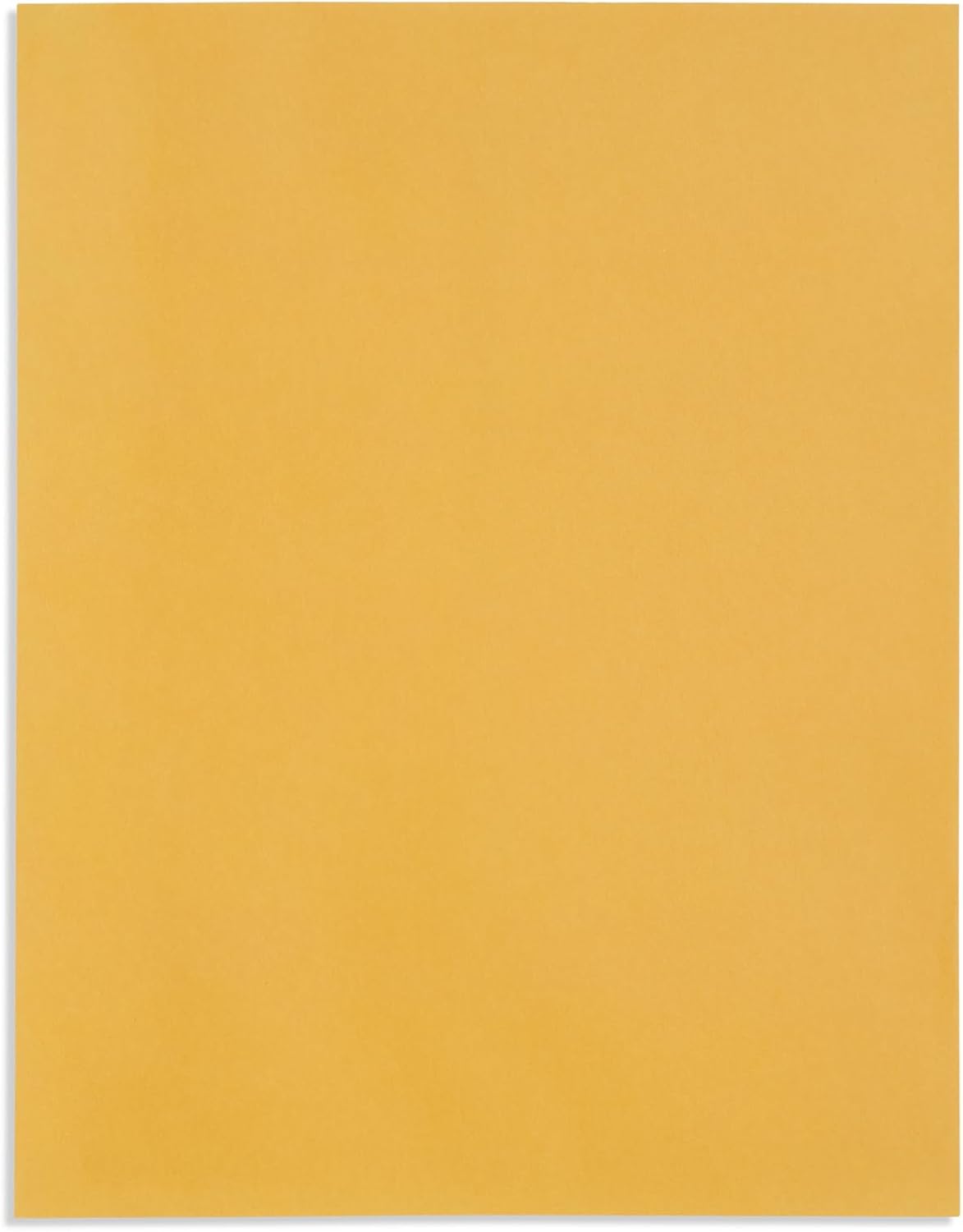 Blue Summit Clasp Envelopes, 12 x 15.5-Inch, Thick 28lb Kraft Paper, Clasp with Gummed Seal, 100 Envelopes