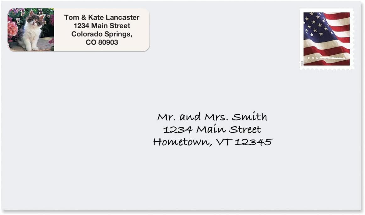 Cute Kittens Rolled Personalized Return Address Mailing Labels with Dispenser, Set of 500, 5 Designs, Small ¾ x 2½ Inch Size, Custom Self-Adhesive Sticker Roll, by Colorful Images