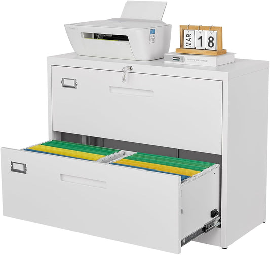 Letaya 2 Drawer Metal Filing Organization Office Cabinets with Lock,Lateral File Cabinets for Home Office Hanging Files Letter/Legal/F4/A4 Size (2 Drawer-White)