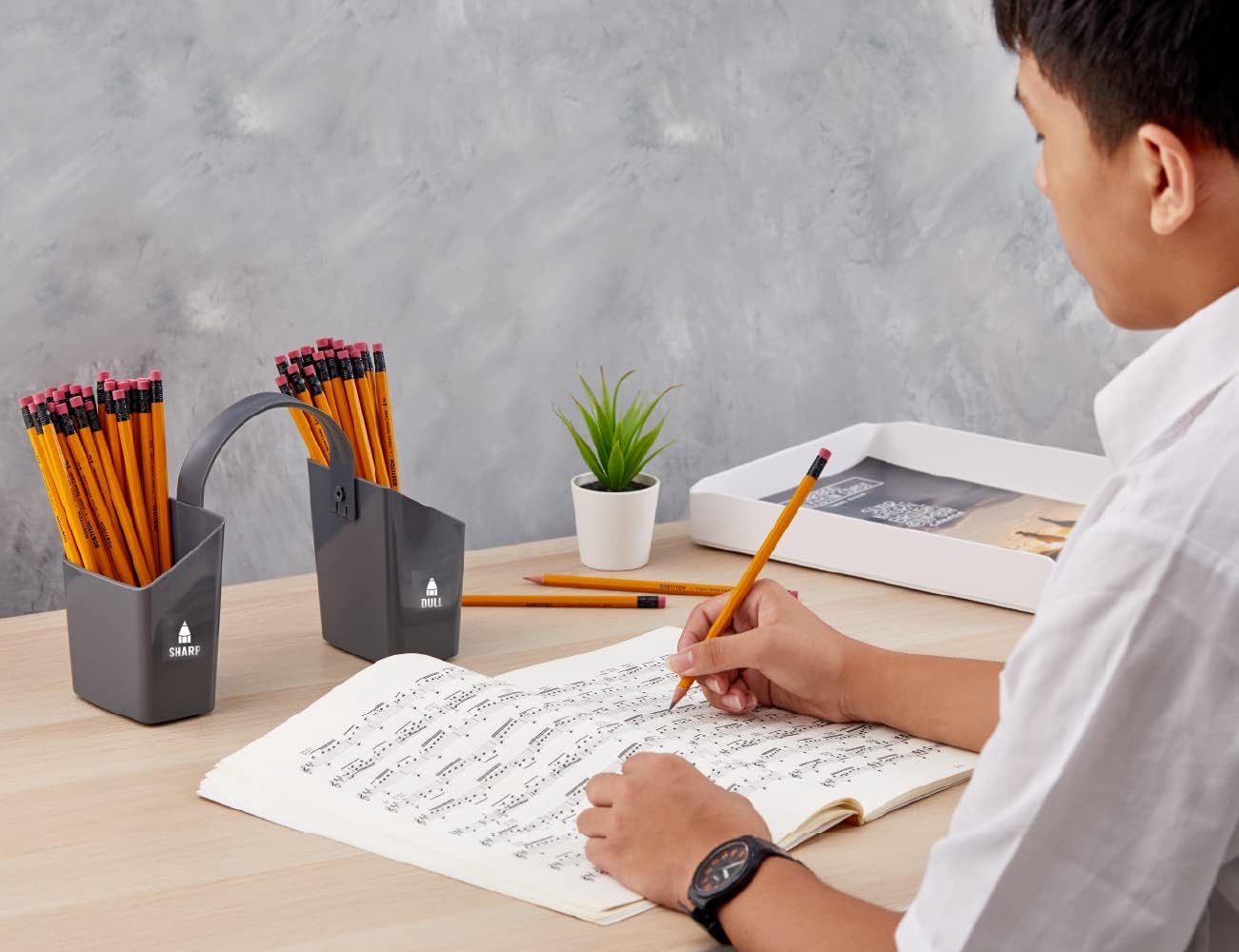 Bostitch Office Premium #2 Pencils, American Cedar Wood, Pre-Sharpened, HB Graphite, 24-Pack (BACP12Y-2PK)