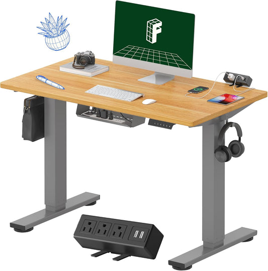 FLEXISPOT EN2 Whole-Piece Standing Desk with Clamp Power Strip, 40 x 24 Electric Stand Up Height Adjustable Desk with Cable Management (Gray Frame + Maple Top, 2 Packages)