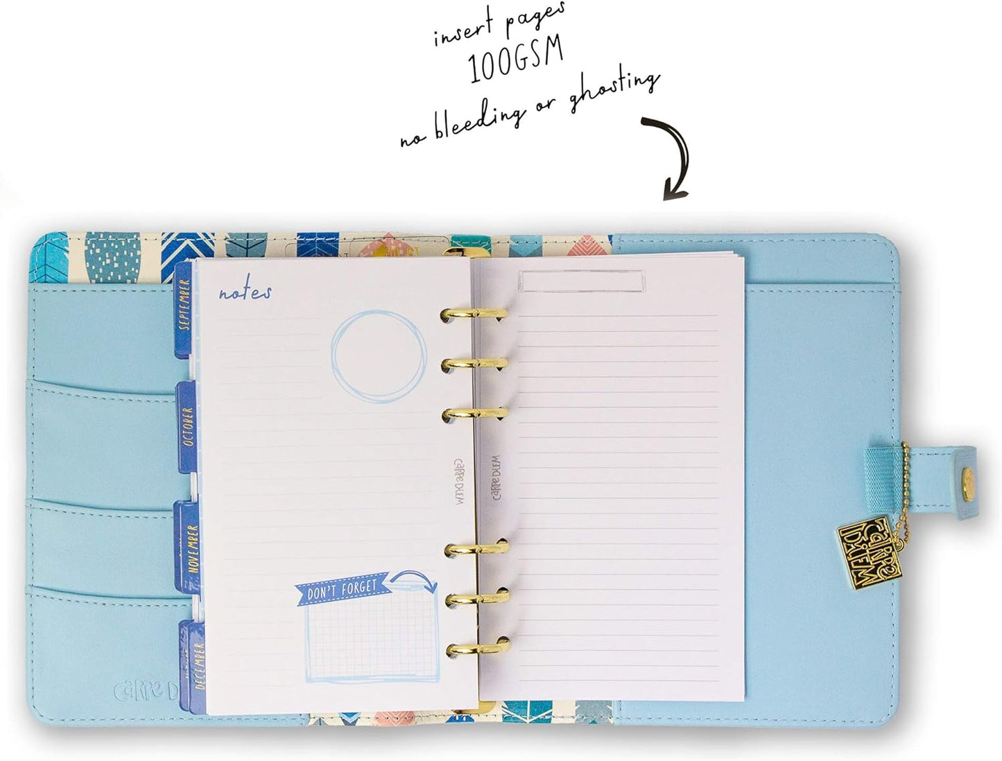 Pukka Pad, Carpe Diem Personal Planner - Soft Cover Binder with Weekly, Monthly Undated Inserts in Tabbed Sections, Interior Pockets and Sticker Sheets - 8 X 7.5 X 1.4 Inches, Sky Blue