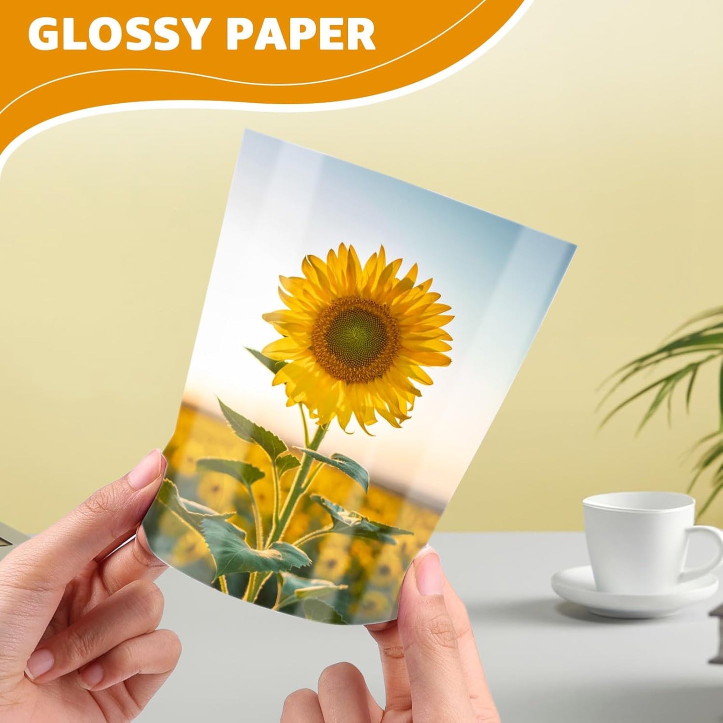 ZBEIVAN 13x19 Photo Paper, Glossy Photo Papers 25 Sheets, 13 x 19 Inkjet Printer Photo Paper for Dye Ink, 200 GSM