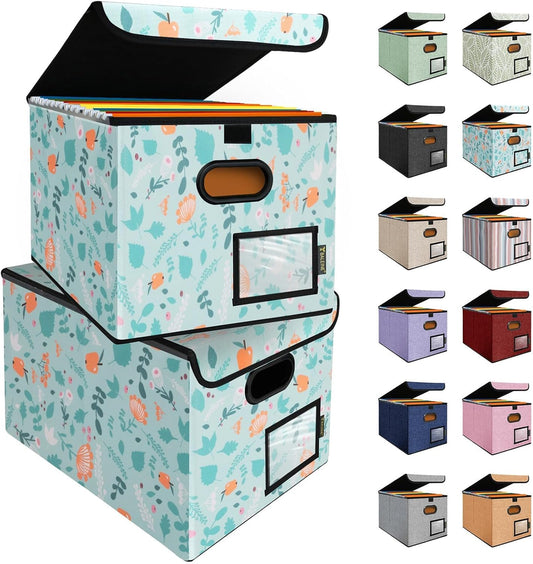 BALEINE File Organizer Box with Lid, Collapsible File Folder Organizer with Plastic Slide, Hanging File Folder Box for Office Document Storage (2 Pack, Spring Stroll)