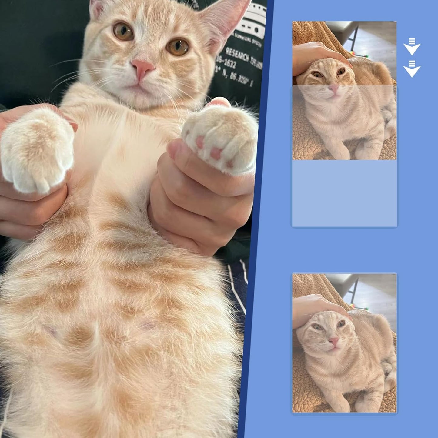 Rainmae 30 Pack 5" x 7" Rigid Print Protectors, Clear Waterproof Hard Plastic Page Sheet Protectors, B6 Paper Sleeves Photo Plastic Sleeves Document Holder Birth Certificate Protector