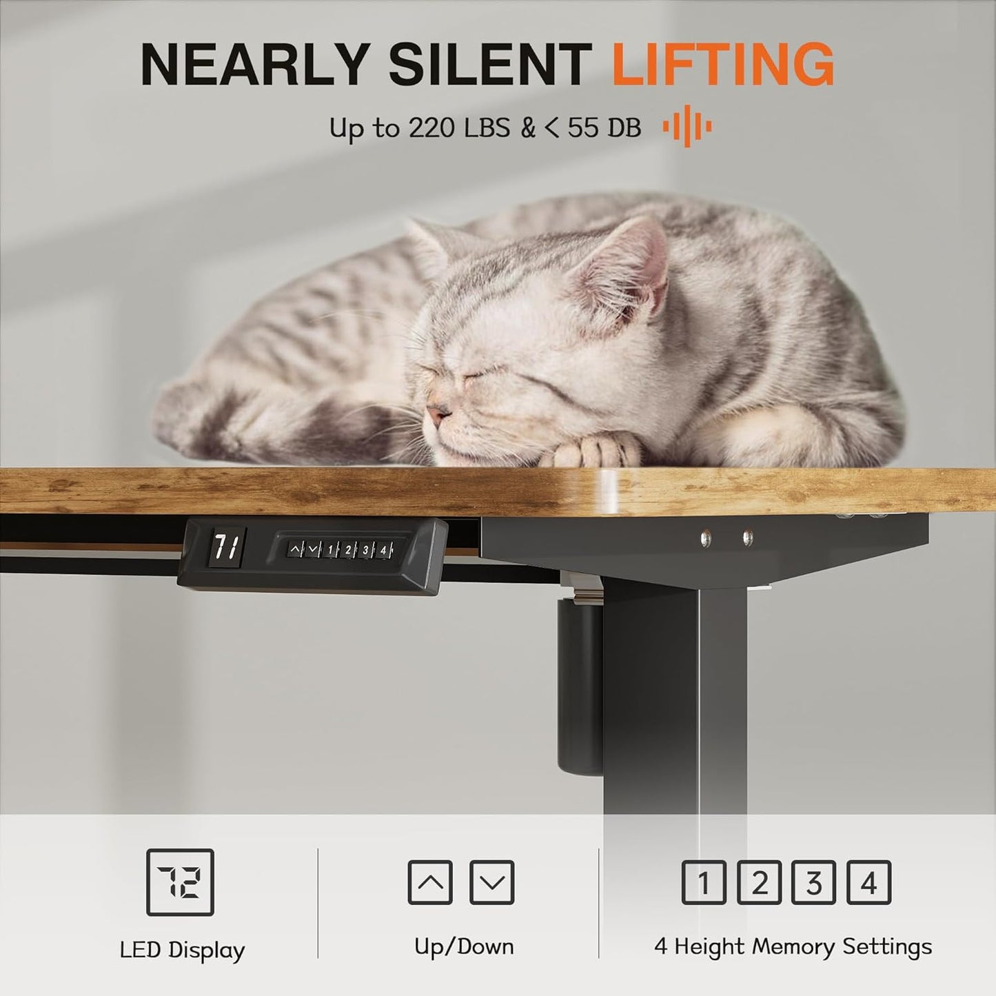 Furmax Electric Standing Desk, 59 x 24 Inches Height Adjustable Desk with Wheels, Home Office Computer Desk with Management Box (Brown)