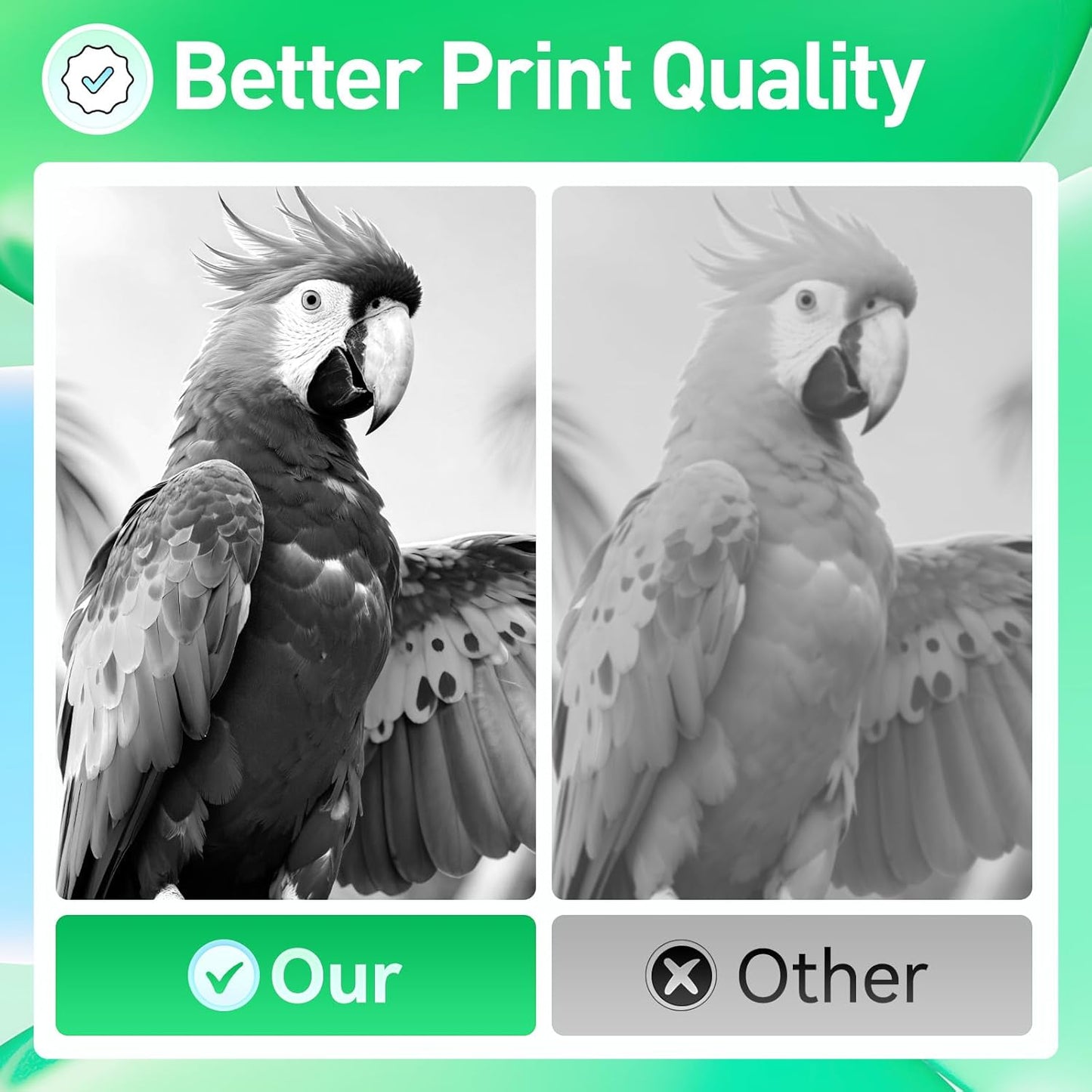 56F0Z00 Imaging Unit Replacement for 56F0Z00 Drum Unit Compatible with Lexmark MS321 MS421 MS521 MS621 MX521 MX522 MX622 MS622 MX321 MX421 B2338 B2442 B2546 B2650 MB2338 MB2442 MB2546 MB2650 Printer