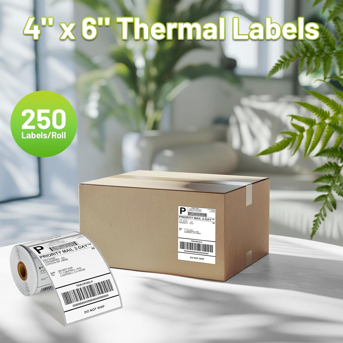 4x6 Thermal Labels, Shipping Address Label (Pack of 250 4x6 Roll Labels) - Compatible with JADENS, ASprink, Phomemo, Rollo, Zebra, Omezizy and Other Thermal Printers