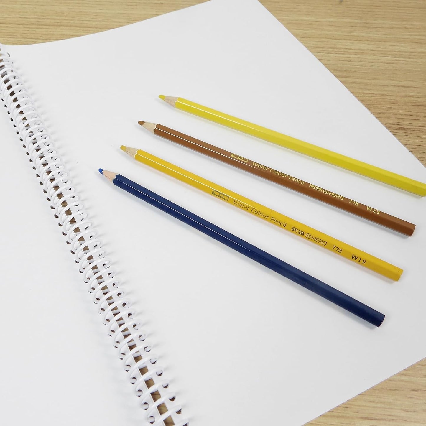 Rayson 3/4" Plastic Spiral Binding Coil, 160 Sheets Capacity, 4:1 Pitch 19mm White Coil Binding Spines for Business and Educational Purposes, Pack of 50