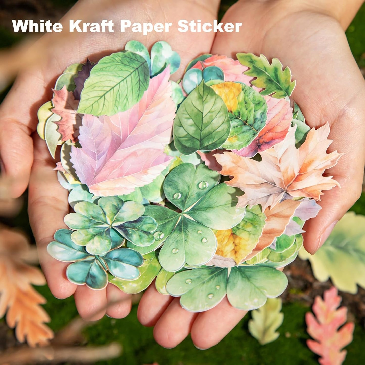 Botanical Leaf Stickers, 270PCS Plant Stickers for Scrapbooks Journals DIY Crafts Writable Cowhide Paper Material