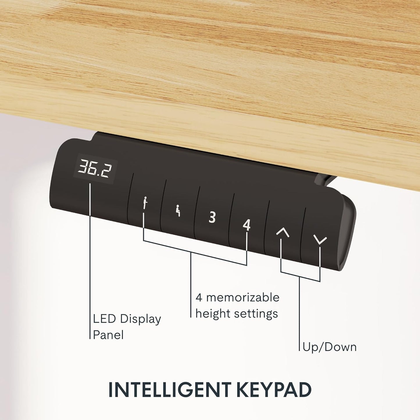 FLEXISPOT E6 Essential Rubber Solid Wood 3 Stages Dual Motor 55x24 Inch Electric Height Adjustable Standing Whole-Piece Board Sit Stand Up Desk (White Frame + Solid Wood Desktop)