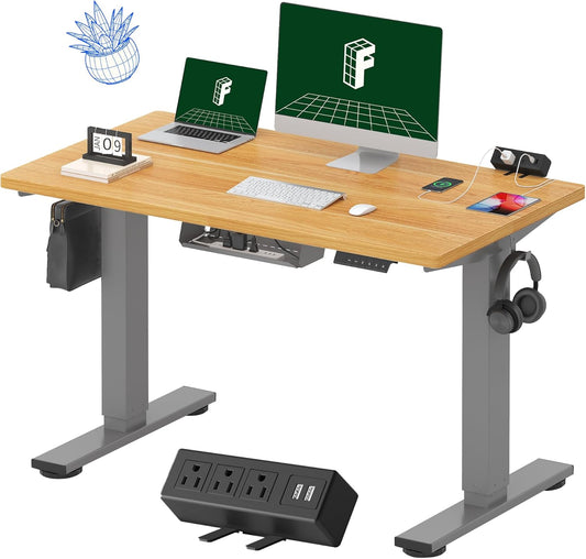 FLEXISPOT EN2 Whole-Piece Standing Desk with Clamp Power Strip, 48 x 24'' Electric Stand Up Height Adjustable Desk with Cable Management (Gray Frame + 48" Maple Desktop, 2 Packages)