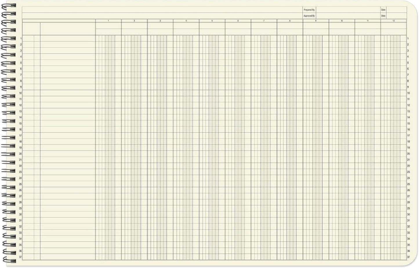 BookFactory Accounting Ledger Notebook/Large 12 Column Accounting Ledger Columnar (Twelve Columns) Log Book - 17'' x 11'', 100 Pages, Wire-O Landscape Format (LED-100-CLCW-PP(17x11-Ledger-12)-AX)