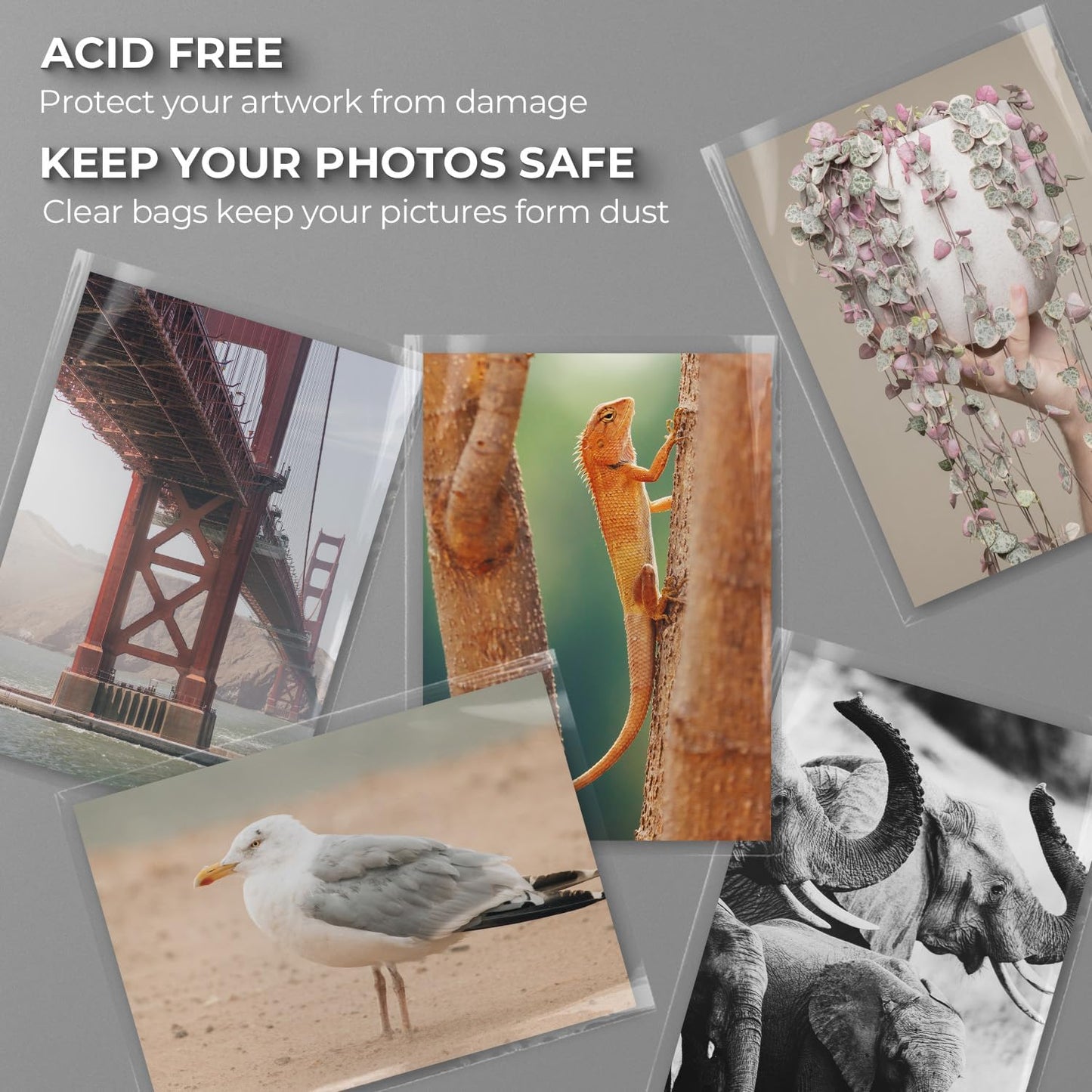 Frametory, 25 Pack 16 3/8"x20 1/8" Acid-Free Clear Plastic Bags, Self Seal Crystal Photo Sleeves for 16X20 Framing Mat Mattes, Art Prints, Clothes