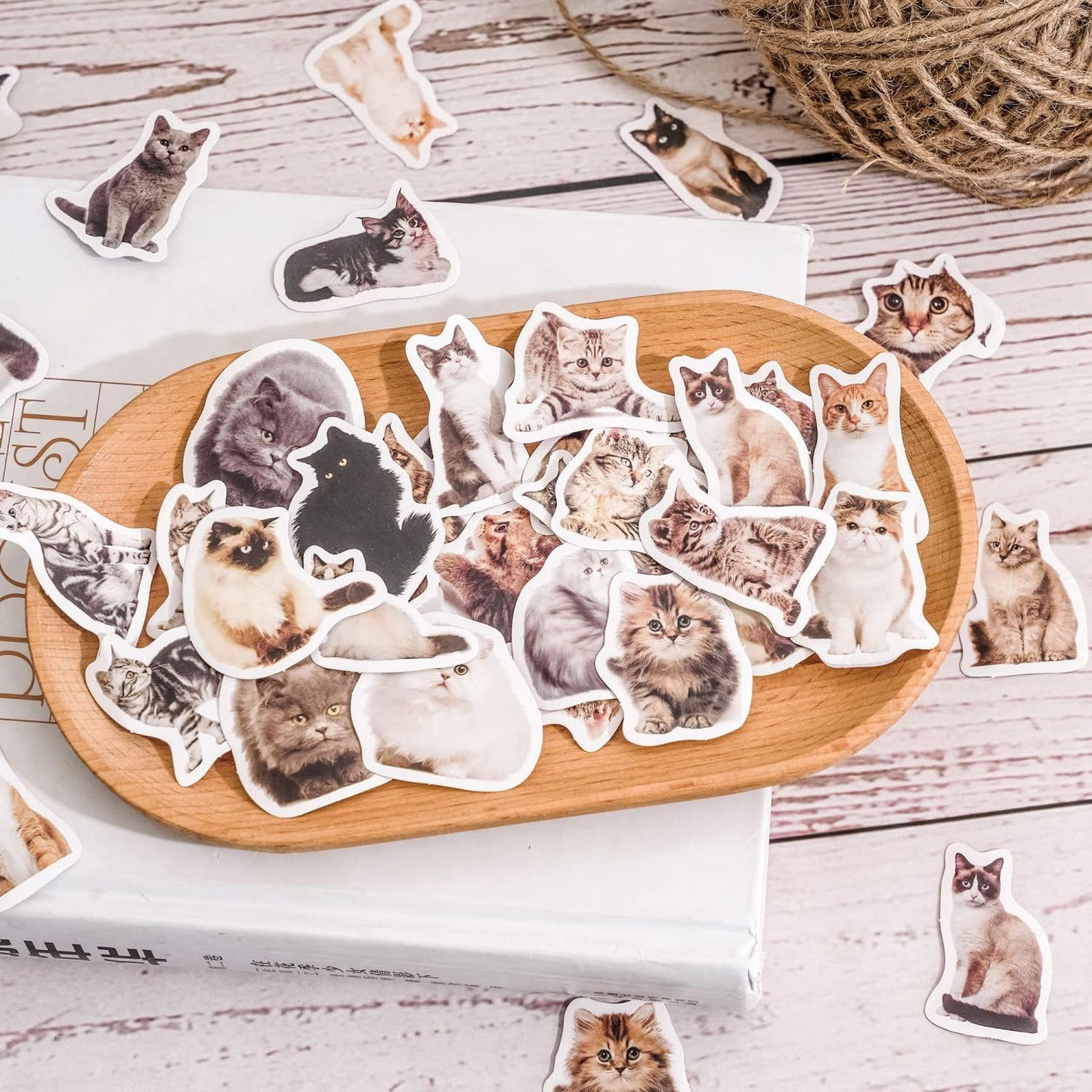 45 Pcs Small Cat Stickers for Scrapbook Kids Bullet Journal Notebook Planner Diary Collage Envelope Letter Laptop Water Case Bottle Phone DIY Craft Decoration
