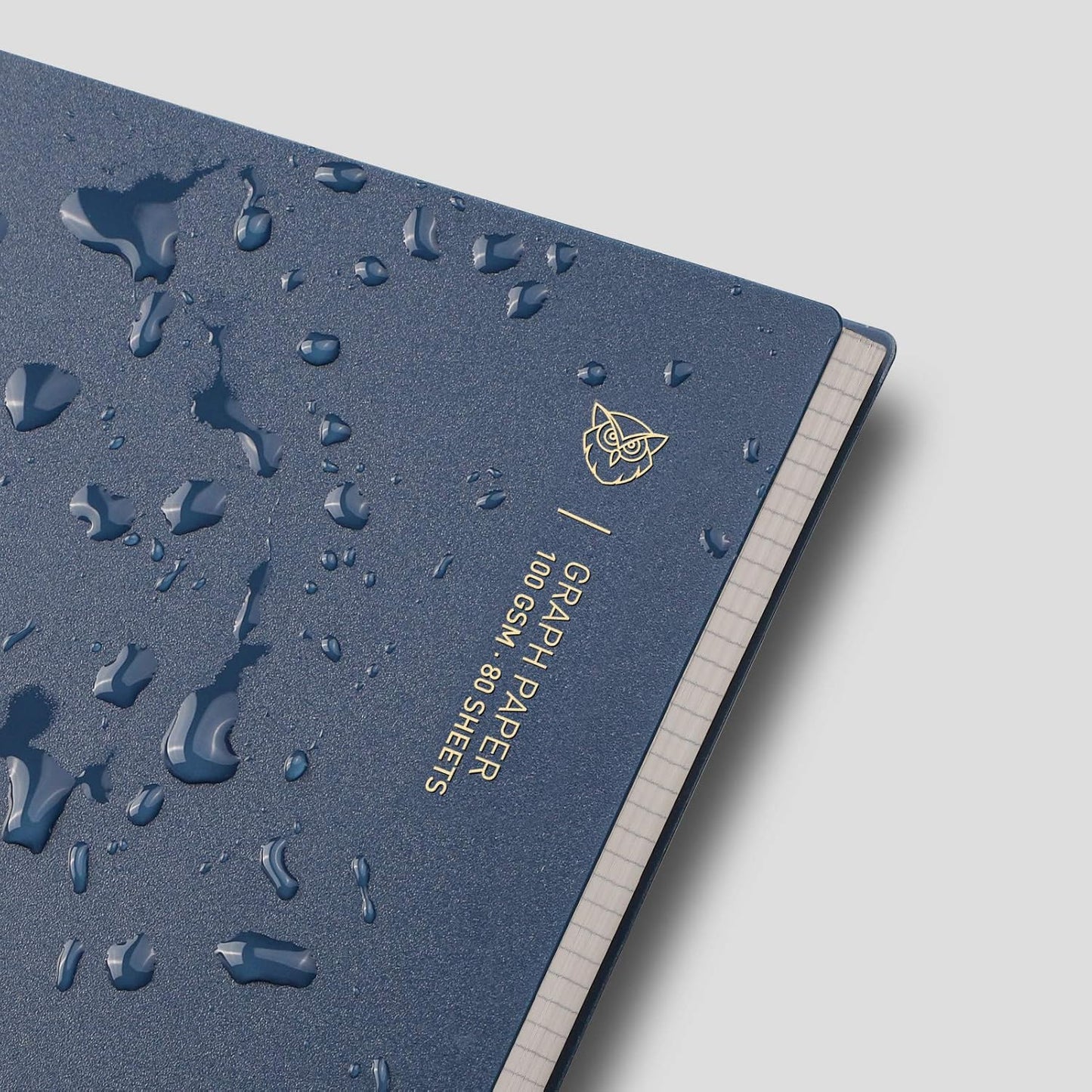 EMSHOI Graph Paper Spiral Notebook 7.48" x 10.15" - 2 Pack 320 Pages 100gsm Thick Grid Paper, B5 Graph Paper Notebook, Plastic Hardcover Journals for Writing Engineering Graphing Work School Supplies