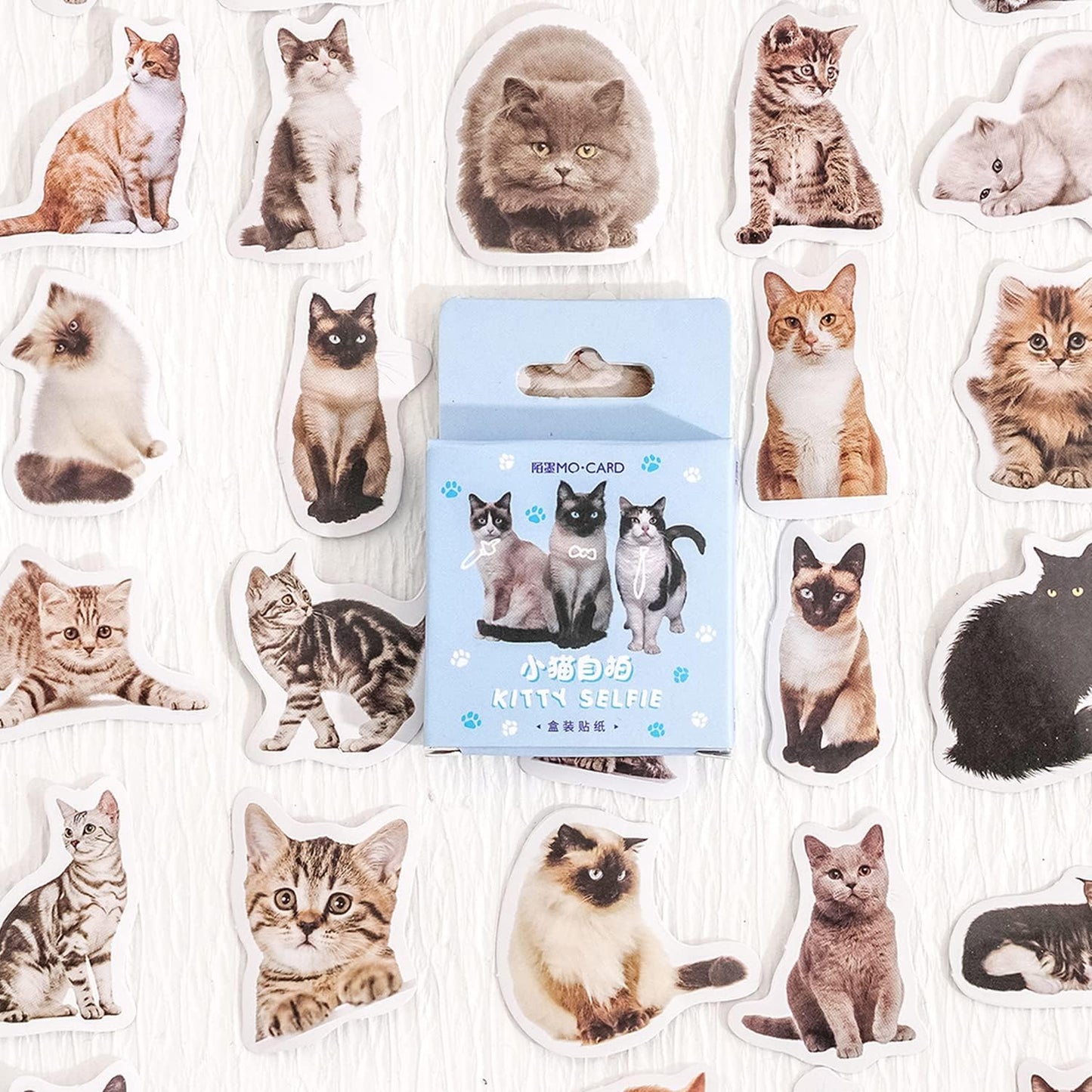 45 Pcs Small Cat Stickers for Scrapbook Kids Bullet Journal Notebook Planner Diary Collage Envelope Letter Laptop Water Case Bottle Phone DIY Craft Decoration