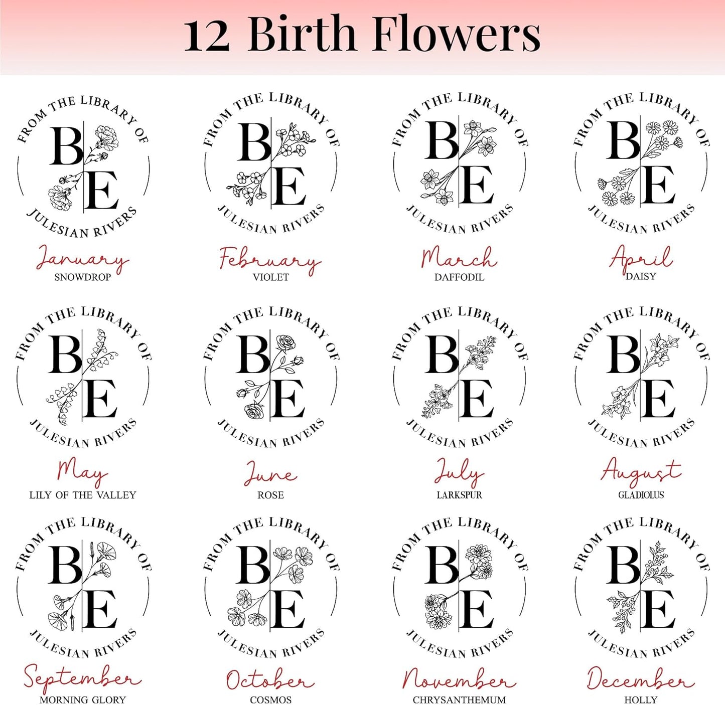 Easycosy Personalized Book Embosser | Custom Embosser & Stamps from The Library of | Book Stamp Personalized with Your Name & Choice Birthday Gifts for Book Lover(Birthday 5)