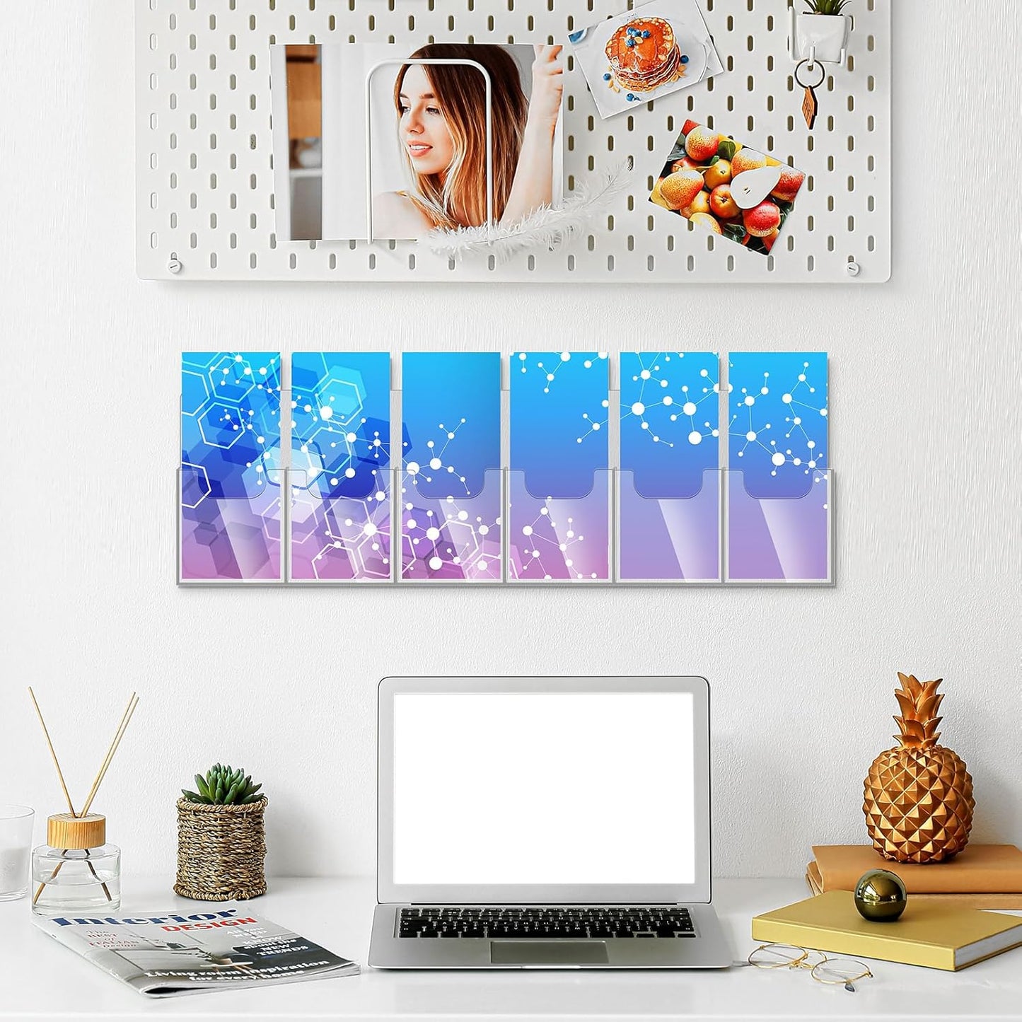 Sherr 1 Pc Acrylic Brochure Holder Wall Mount, 4 x 9 Inches Clear Hanging Flyer Display Holder Plastic Pamphlet Stand with Nails for Magazine, Booklet, Card, Bookmark Display, 26.7 x 7.8 Inch