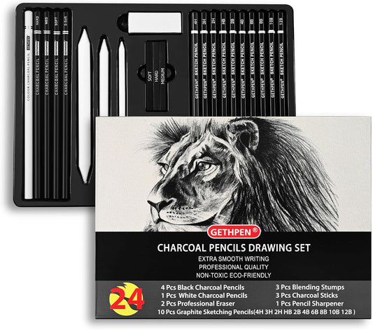 Drawing Sketching Pencil Set, 24 Piece Pro Artist Sketch Kit - Graphite Pencils (12B-4H),Charcoal Pencils for Drawing,Black and White Charcoal Pencils,Charcoal Sticks,Stumps,Eraser,Sharpeners