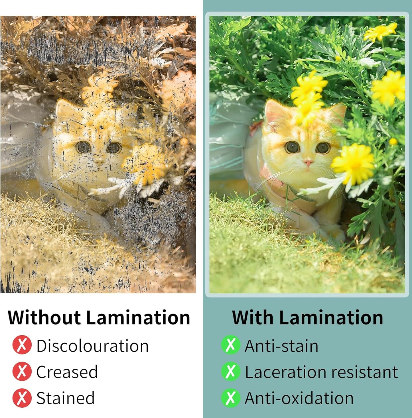 Laminating Sheets - 3Mil 2000 Pack Thermal Laminating Pouches, 9"x11.5" Clear Laminate Sheets for Schedules, Menus, Certificates, Art Drawings, Round Corner