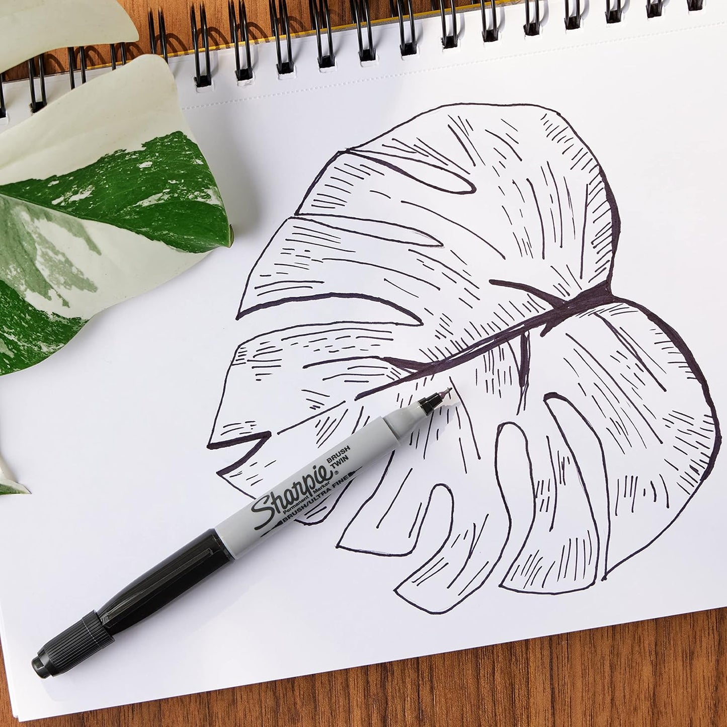 Sharpie Brush Twin Permanent Marker Brush Tip Marker and Ultra Fine Tip Black 12 Count