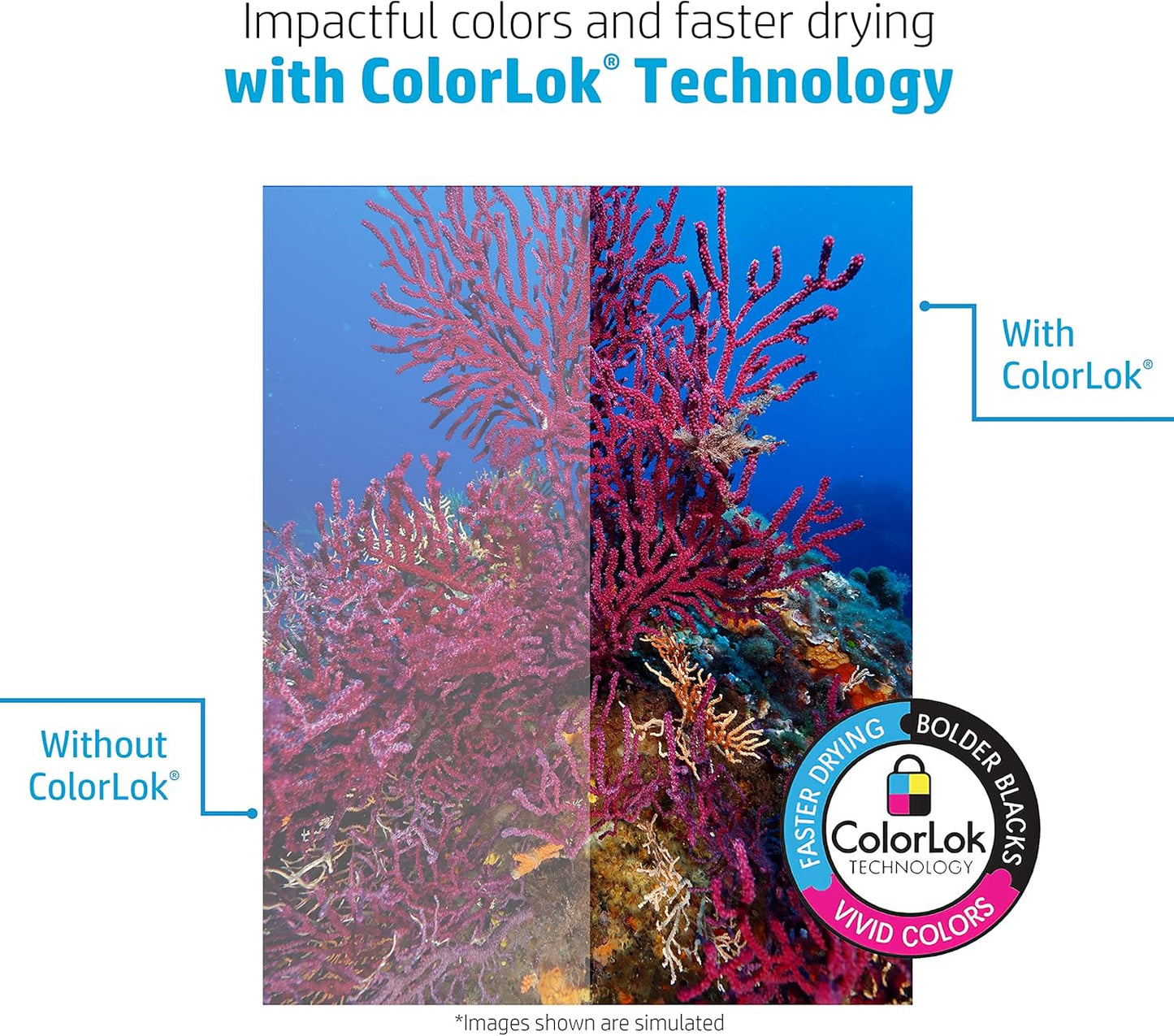 HP Papers Printer Paper 8.5 x 11 Paper BrightWhite 24 lb 60 Case 100 Bright Made in USA - FSC Certified 203000P Pallet 160000 Sheets